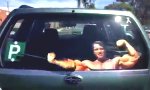 Lustiges Video : Arnie sorgt für freie Sicht