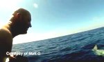 Funny Video - So reitet man einen Mola Mola