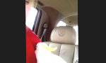 Lustiges Video : Kakadu Peekaboo