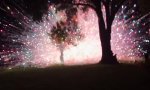 Funny Video : Feuerwerk des Grauens