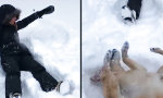 Lustiges Video : Hund macht Schnee-Engel
