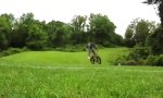 Movie : Kleiner Stunt mit dem Bike