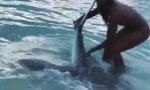 Lustiges Video : Die Hai Magd