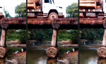 Lustiges Video : Ein Laster auf dem Holzweg