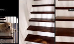 Funny Video : Stairway to Heaven