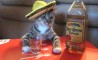 Fun Pic - Thursday PicDump #7 - 74