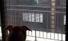 Fun Pic - Donnerstags Fun PicDump #18 - 21