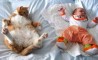 Fun Pic - Donnerstags Fun PicDump #33 - 80