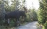Fun Pic - Donnerstags Fun PicDump #36 - 88