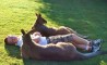 Fun Pic - Donnerstags Fun PicDump #40 - 1