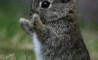 Fun Pic - Donnerstags Fun PicDump #40 - 25