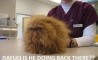 Fun Pic - Donnerstags Fun PicDump #40 - 41