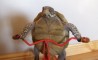 Fun Pic - Donnerstags Fun PicDump #40 - 81
