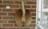 Fun Pic - Donnerstags Fun PicDump #48 - 65
