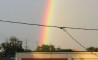 Fun Pic - Donnerstags Fun PicDump #62 - 137