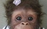 Fun Pic - Donnerstags Fun PicDump #62 - 29
