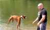 Fun Pic - Donnerstags Fun PicDump #74 - 114