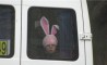 Fun Pic - Donnerstags Fun PicDump #74 - 13