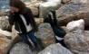 Fun Pic - Donnerstags Fun PicDump #74 - 33