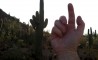 Fun Pic - Donnerstags Fun PicDump #74 - 53