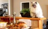 Fun Pic - Donnerstags Fun PicDump #74 - 73