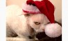 Fun Pic - Donnerstags Fun PicDump #77 DELAYED - 37