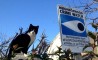 Fun Pic - Donnerstags Fun PicDump #82 - 95