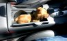 Fun Pic - Donnerstags Fun PicDump #95 - 102