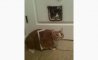 Fun Pic - Donnerstags Fun PicDump #95 - 18