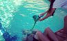Fun Pic - Donnerstags Fun PicDump #95 - 38