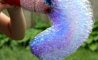 Fun Pic - Donnerstags Fun PicDump #107 - 57