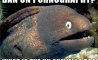 Fun Pic - Donnerstags Fun PicDump #107 - 69
