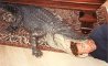 Fun Pic - Donnerstags Fun PicDump #111 - 74