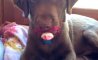 Fun Pic - Donnerstags Fun PicDump #117 - 59