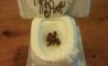 Fun Pic - Donnerstags Fun PicDump #117 - 83