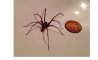 Fun Pic - Donnerstags Fun PicDump #117 - 87