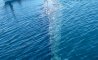 Fun Pic - Donnerstags Fun PicDump #118 - 82