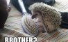 Fun Pic - Donnerstags Fun PicDump #123 - 30