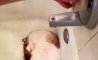 Fun Pic - Donnerstags Fun PicDump #123 - 38