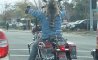 Fun Pic - Donnerstags Fun PicDump #126 - 40