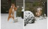 Fun Pic - Donnerstags Fun PicDump #130 - 89