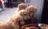 Fun Pic - Donnerstags Fun PicDump #132 - 81