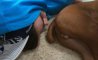 Fun Pic - Donnerstags Fun PicDump #132 - 85