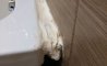Fun Pic - Donnerstags Fun PicDump #136 - 101