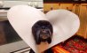 Fun Pic - Donnerstags Fun PicDump #136 - 45
