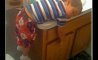Fun Pic - Donnerstags Fun PicDump #140 - 13