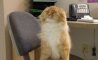 Fun Pic - Donnerstags Fun PicDump #140 - 29