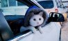Fun Pic - Donnerstags Fun PicDump #140 - 73