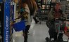 Fun Pic - Donnerstags Fun PicDump #140 - 85