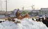 Fun Pic - Donnerstags Fun PicDump #142 - 23